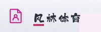 合作伙伴